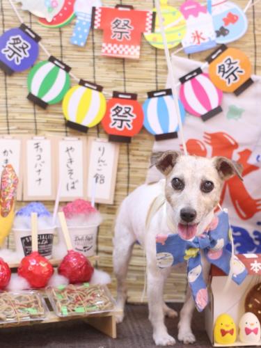 20240703りんちゃん